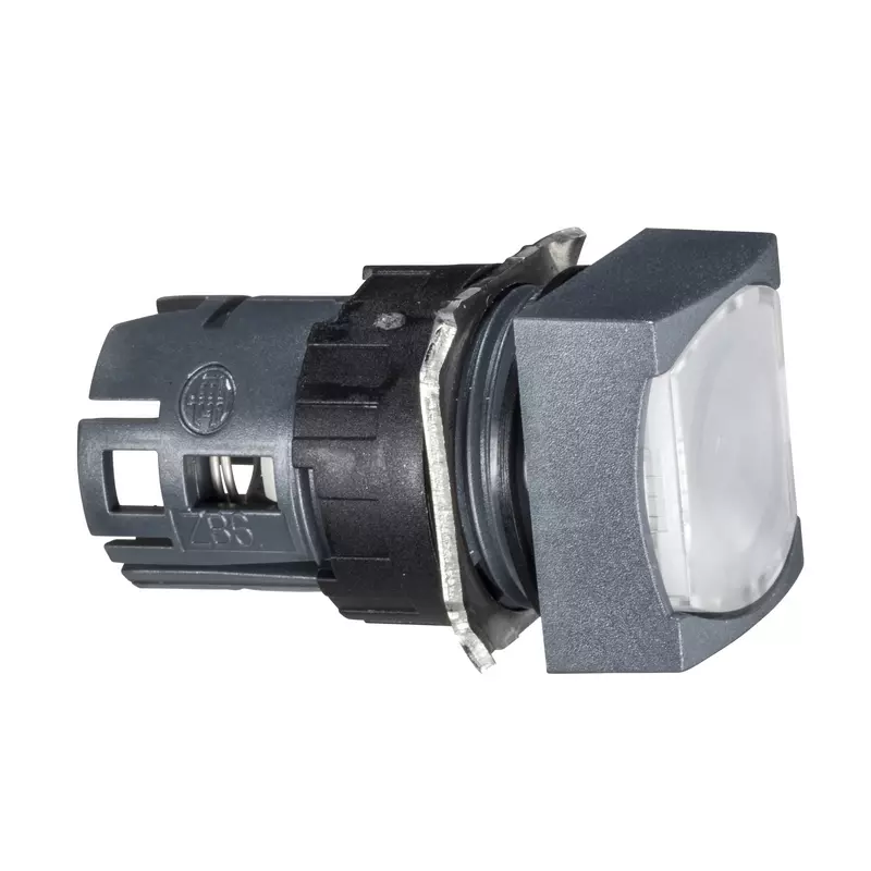 ZB6CF1